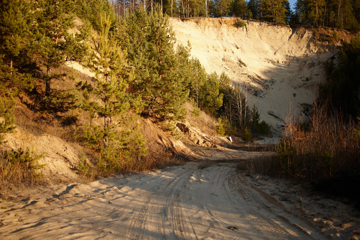 2.5 Distagon T* 2.0/35 ZE