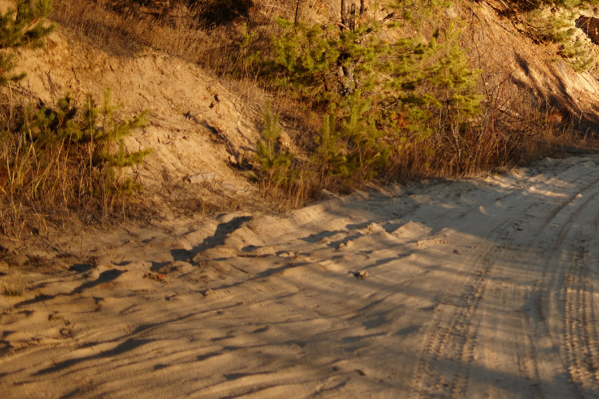 2.0 Distagon T* 2.0/35 ZE