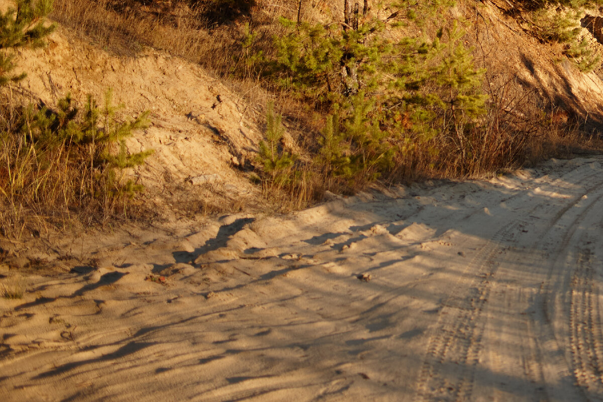 2.2 Distagon T* 2.0/35 ZE