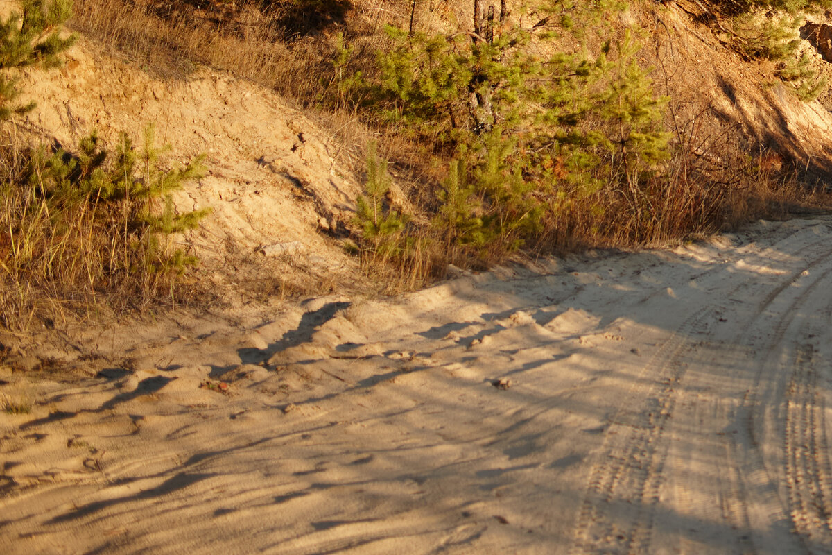 2.5 Distagon T* 2.0/35 ZE