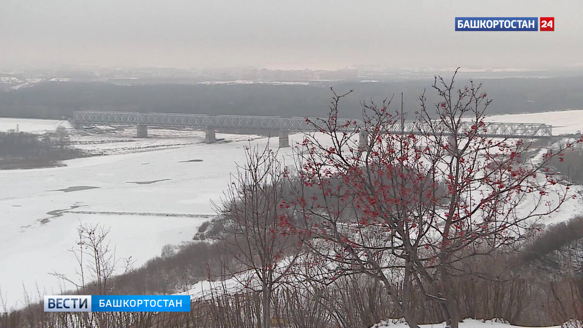    Жителей Башкирии предупредили о тумане с видимостью не более 500 метров