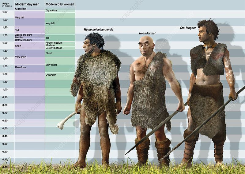 Главные отличия древних европейцев от людей с Русской равнины Каменного века (из ОИ)