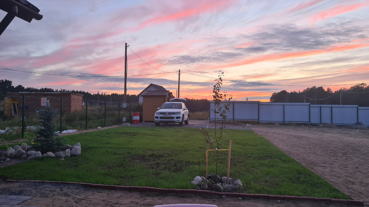 Первые дни после покупки