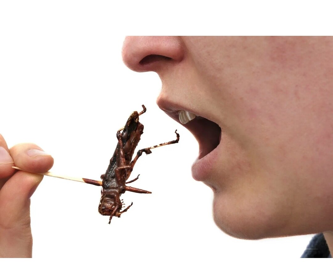 Фото из интернет 