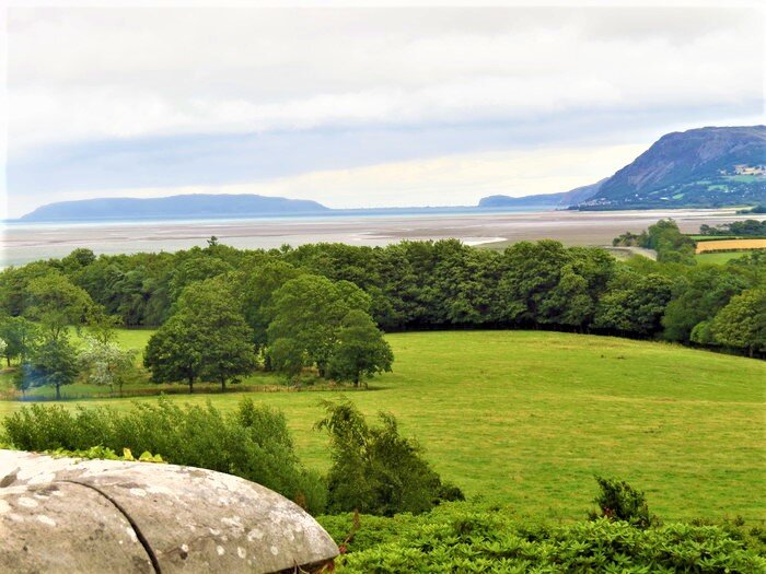 1. Поля Уэльса