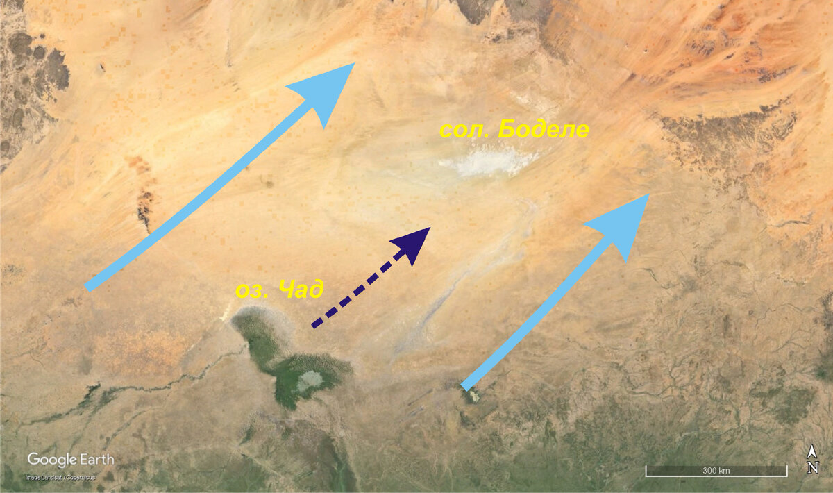 Рис. 2. Озеро Чад и солончак Боделе на спутниковой карте  Google Earth. Голубые стрелки – направление движения вод Всемирного Потопа; фиолетовая стрелка - подземный сток солёных вод из озера Чад.