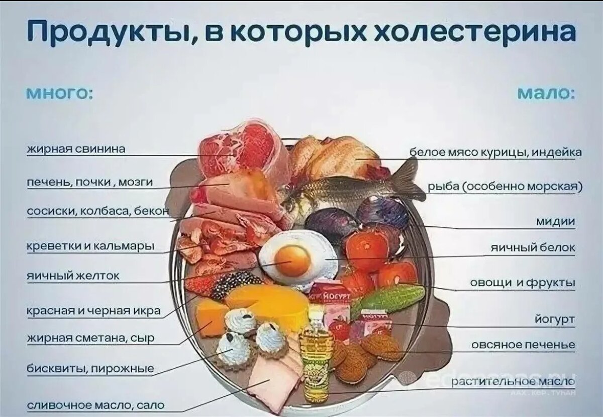 Что съесть после мяса. Холестерин в продуктах. Продукты с вредным холестерином. Продукты с высоким холестерином. Где содерлится Холестин.