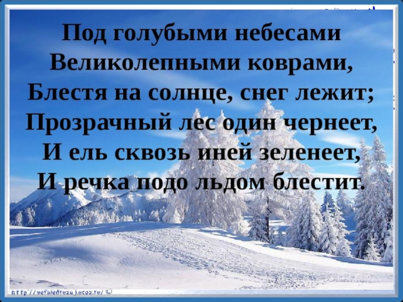 Фото с Яндекса