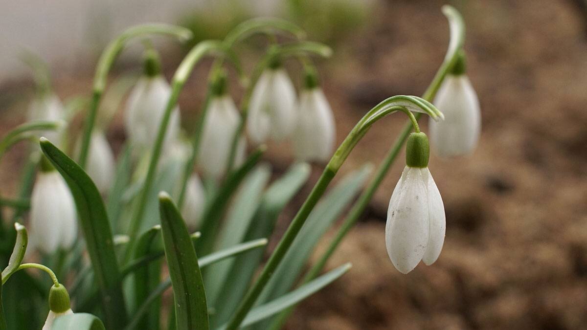    Фото: Анатолий Цымбалюк / Вечерняя Москва