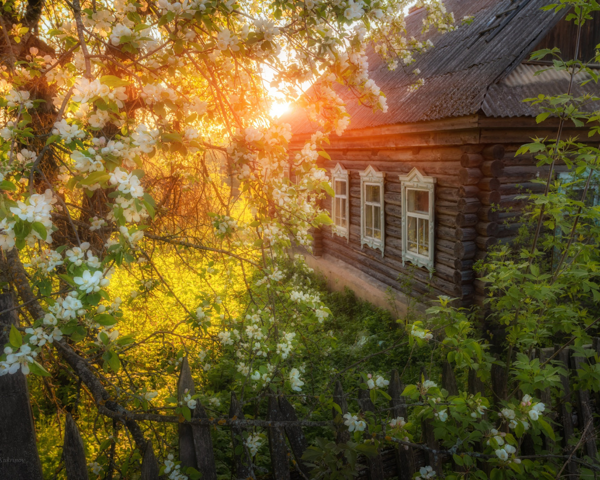 Яндекс.Картинки. 