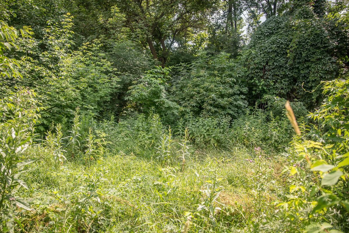 Полянка была немножко не такая, на ней было немного снега.