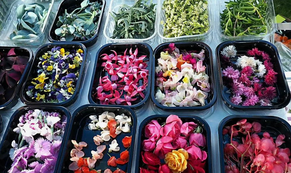 Съедобные цветочные растения