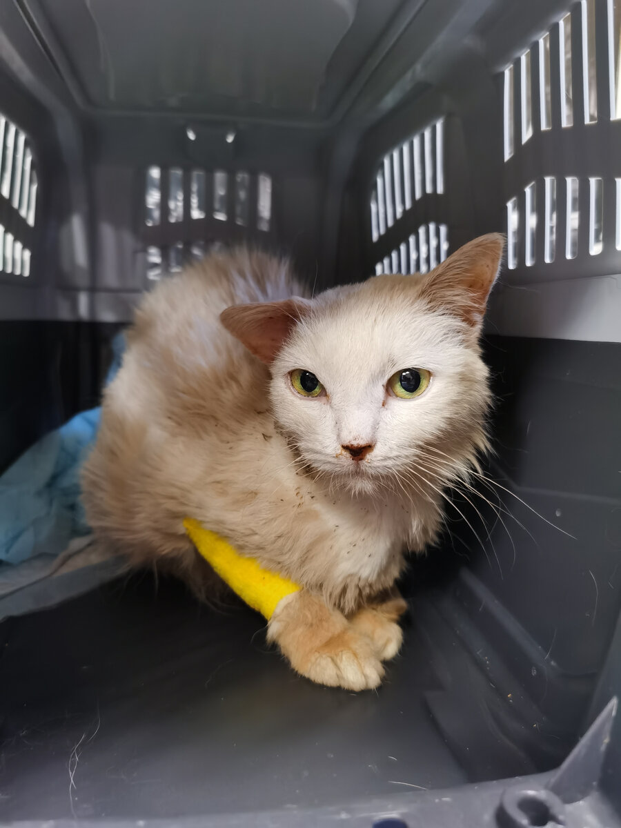 Луна после опереации