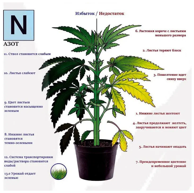 Гумат калия 0,3л. Гумат калия универсальный 3л фхи. Растение 3 калий. Фосфор и углерод. Минеральные вещества для растений.