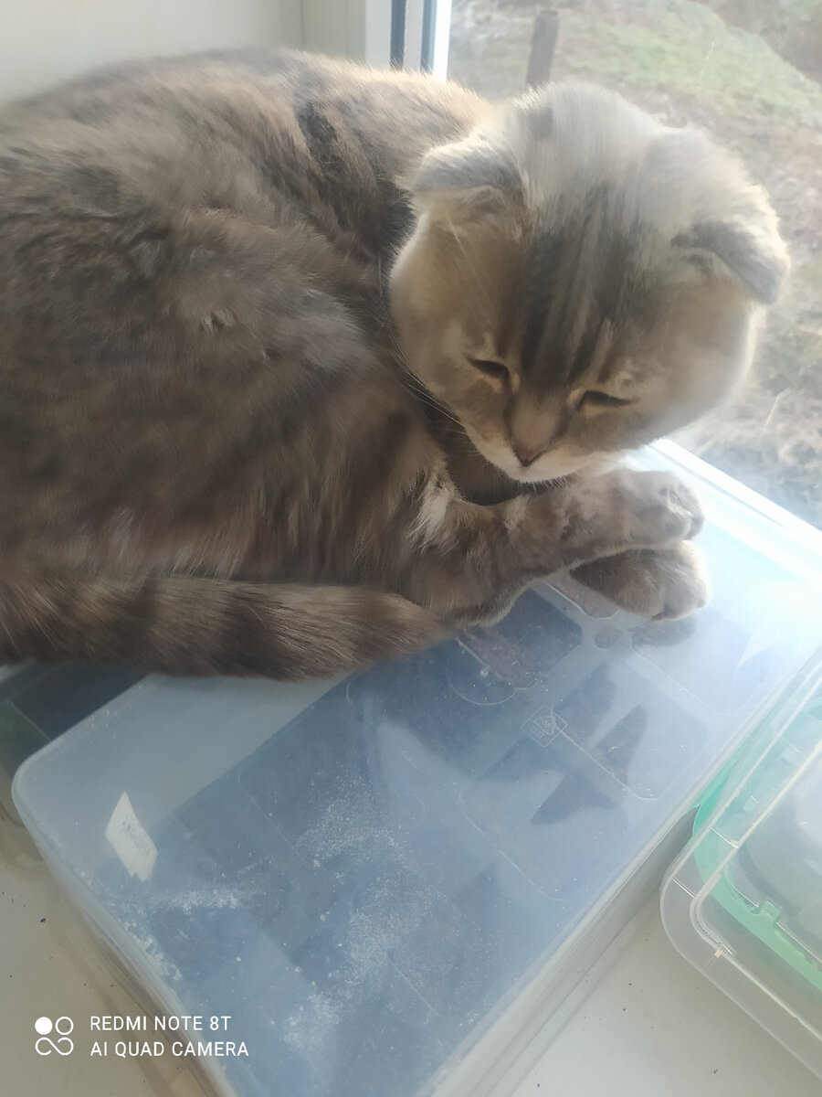 Лиза- главный озеленитель