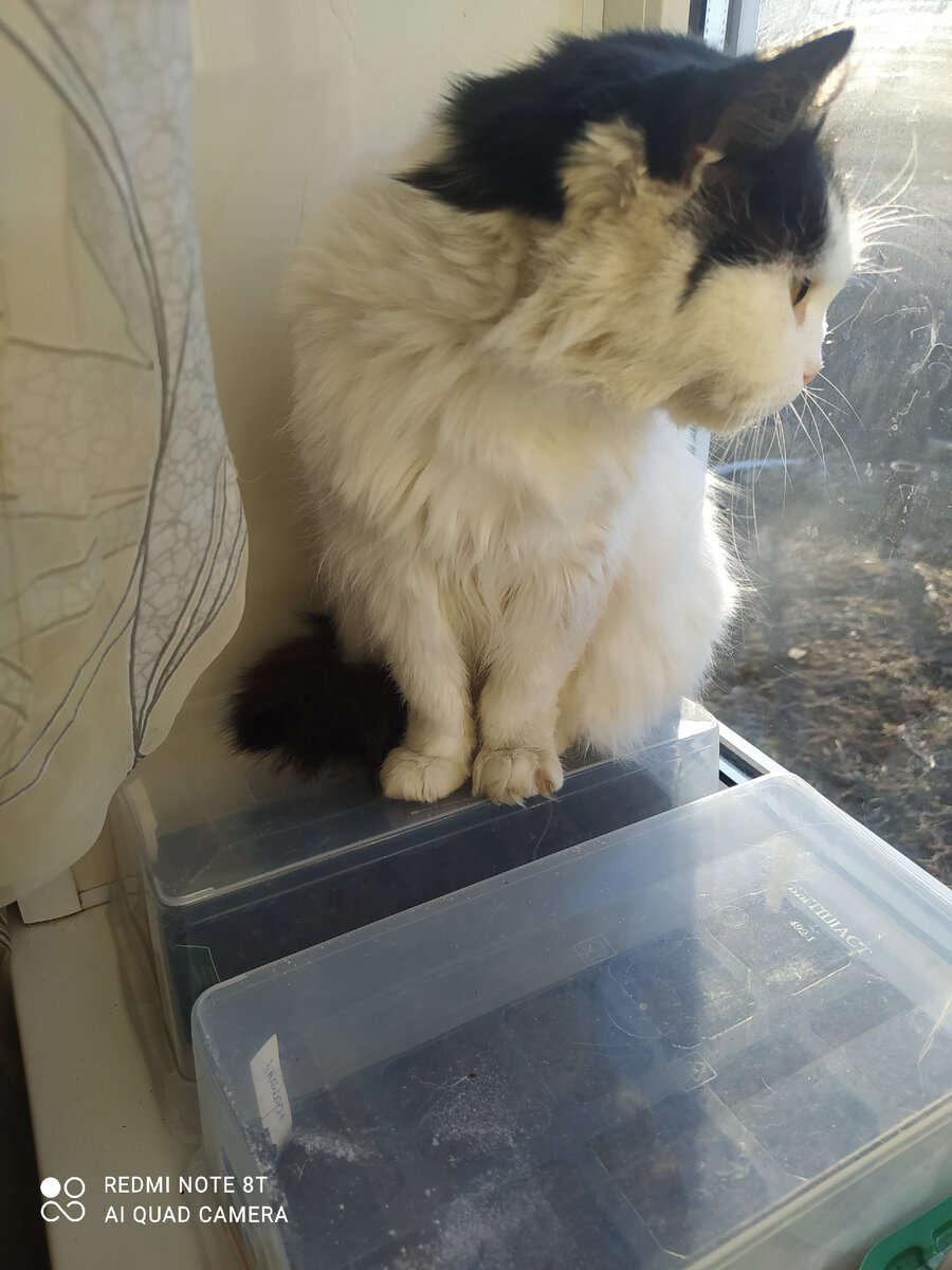 И Дуся - её заместитель