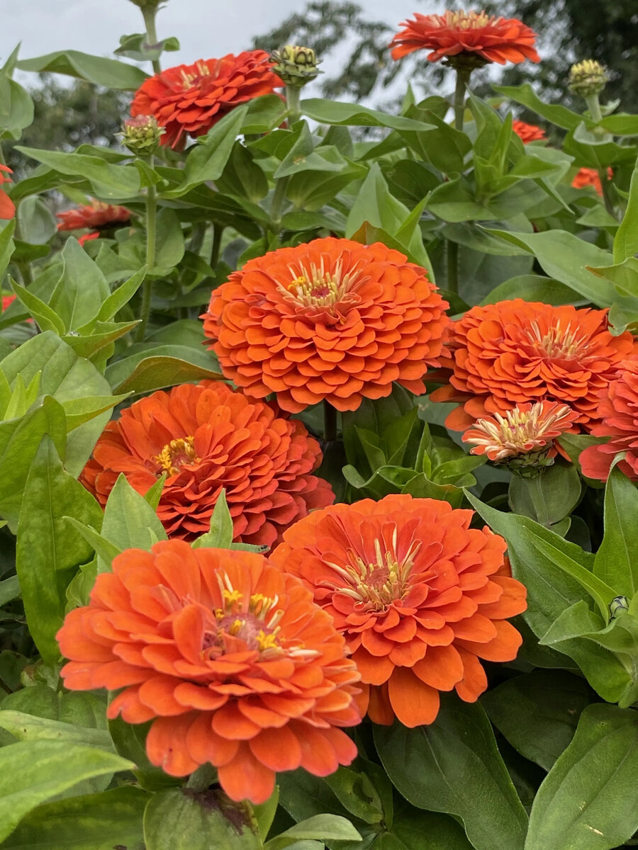 Фото: fotobase.co