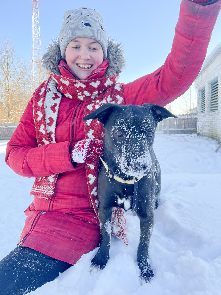 Куратор старается изо всех найти Чарли ЛУЧШИЙ дом. Мы помогаем
