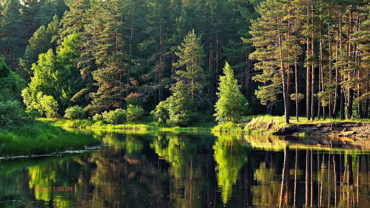 © фото из интернета | 🌿 Окский заповедник:🏞️ уникальный природный комплекс и его обитатели 🦅 