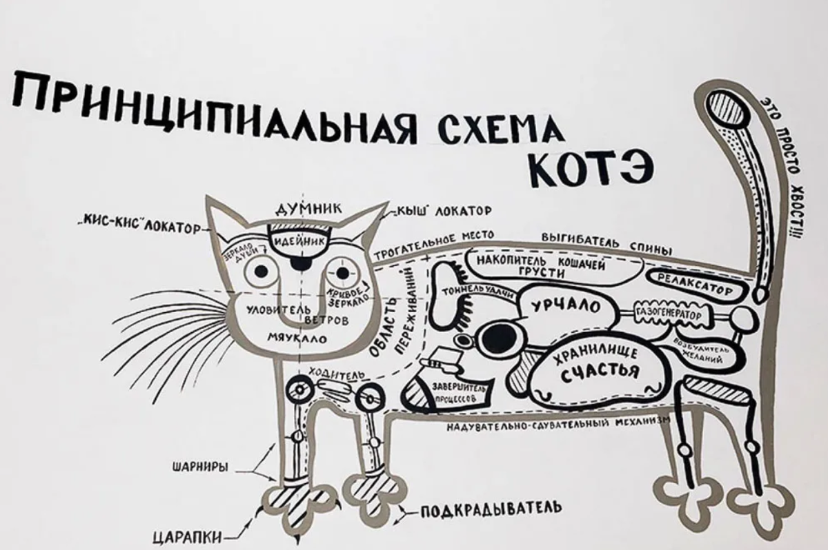 Кошачий фэн-шуй: 6 городов, где царят усатые и хвостатые | Знаешь ли ты? |  Дзен