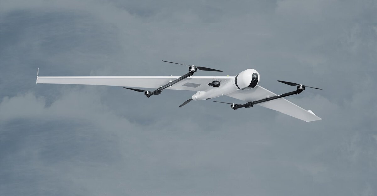 Фото с открытых источников.