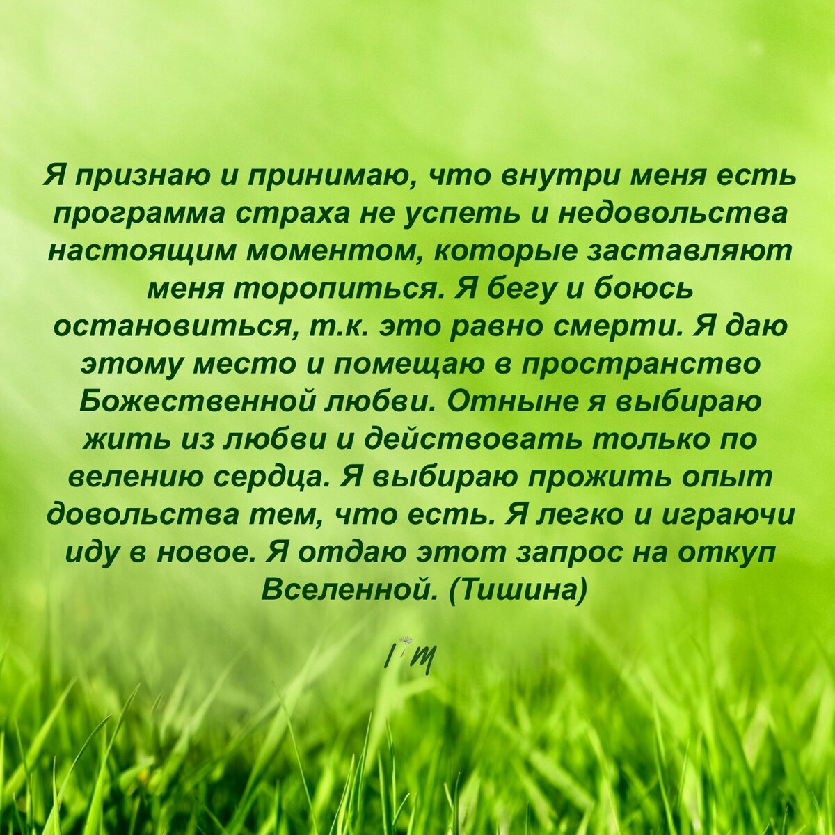 Если актуально, зачитывай мой авторский настрой.
Слово «тишина» в конце - напоминание о желательности остановки внутреннего диалога хоть на несколько секунд.