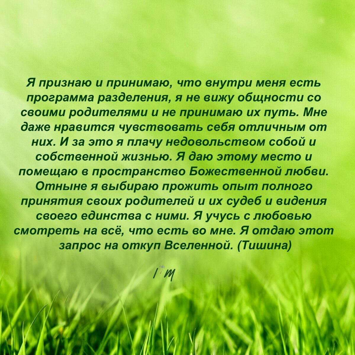Если актуально, зачитывай мой авторский настрой.
Слово «тишина» в конце - напоминание о желательности остановки внутреннего диалога хоть на несколько секунд.
