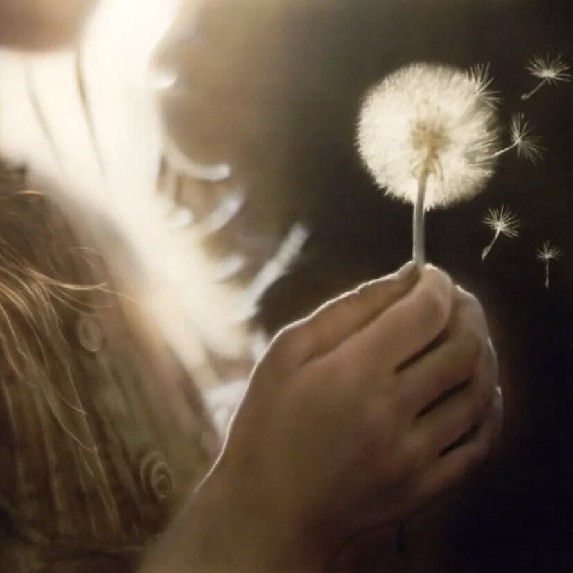 Фото из интернета 