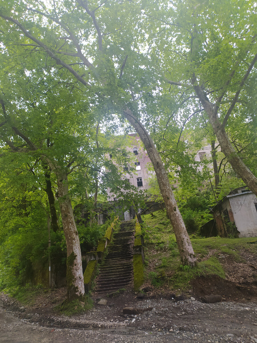 набережная разбор слова по составу. речки 2 разбор. русский язык 2 класс фонетика разбор слова. звуково буквенный разбор слов. фонетический разбор 4 класс.