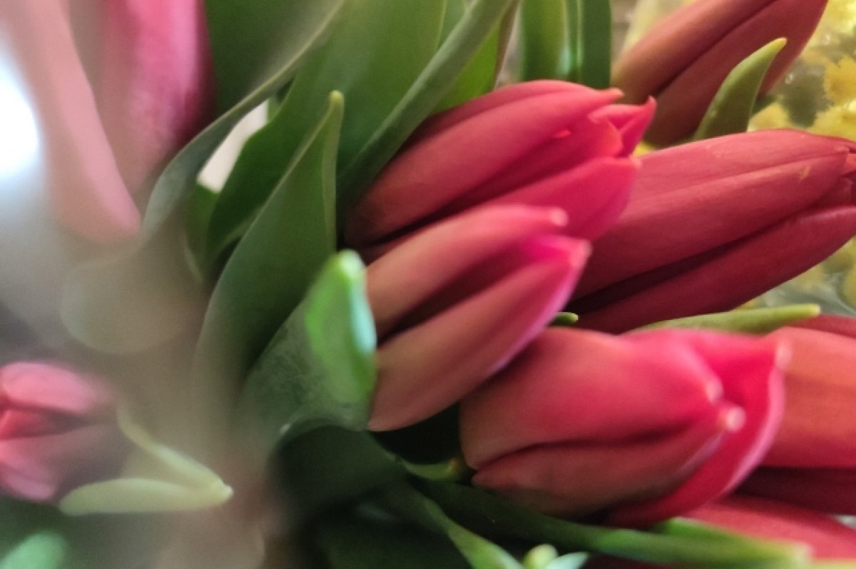    В Тверской области вековой юбилей отмечает ветеран ВОВ Тамара Васильева