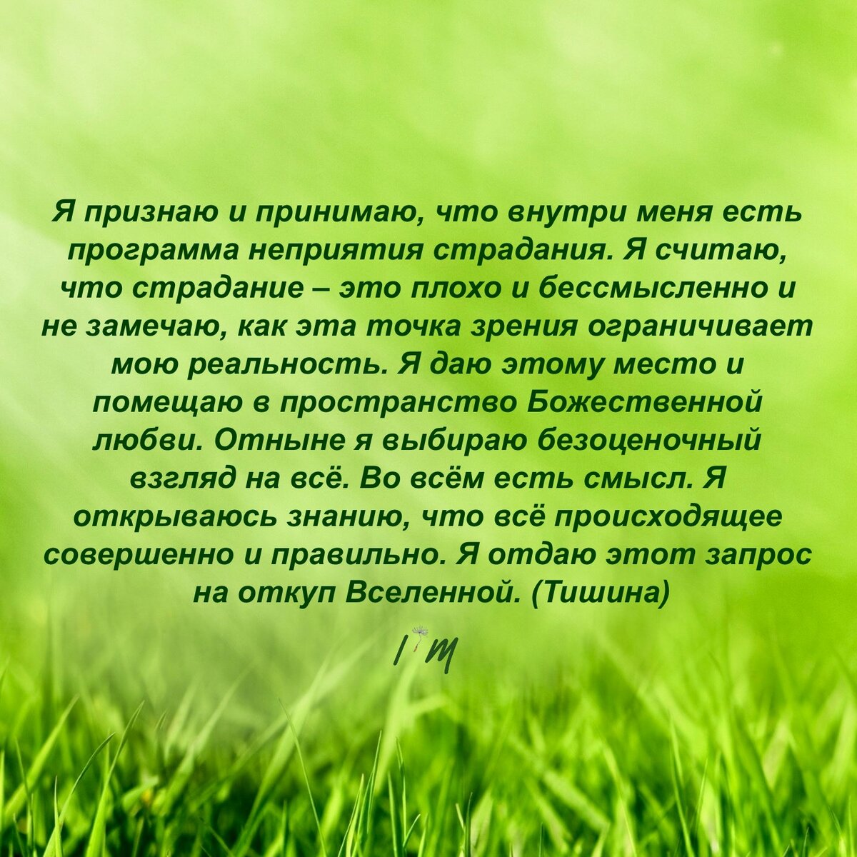 Если актуально, зачитывай мой авторский настрой.
Слово «тишина» в конце - напоминание о желательности остановки внутреннего диалога хоть на несколько секунд.
