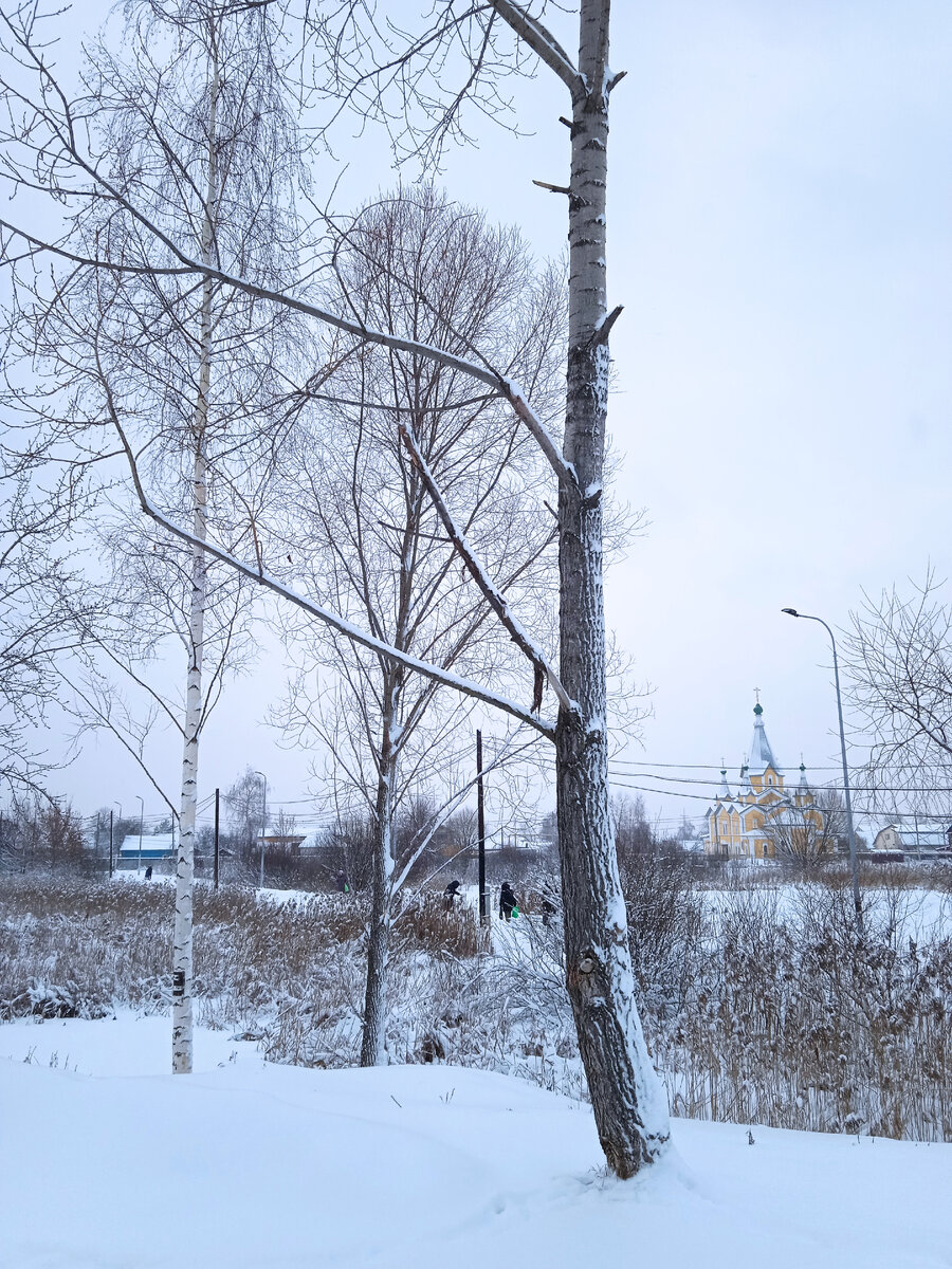 Сразу за моим домом начинается "старый" сектор. Отрадное место для меня
