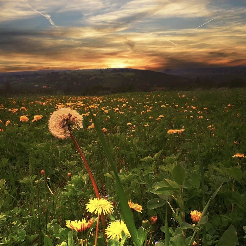 Фото из интернета 