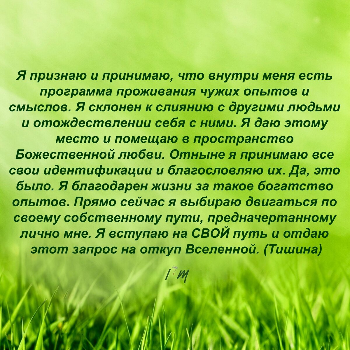 Если актуально, зачитывай мой авторский настрой.
Слово «тишина» в конце - напоминание о желательности остановки внутреннего диалога хоть на несколько секунд.
