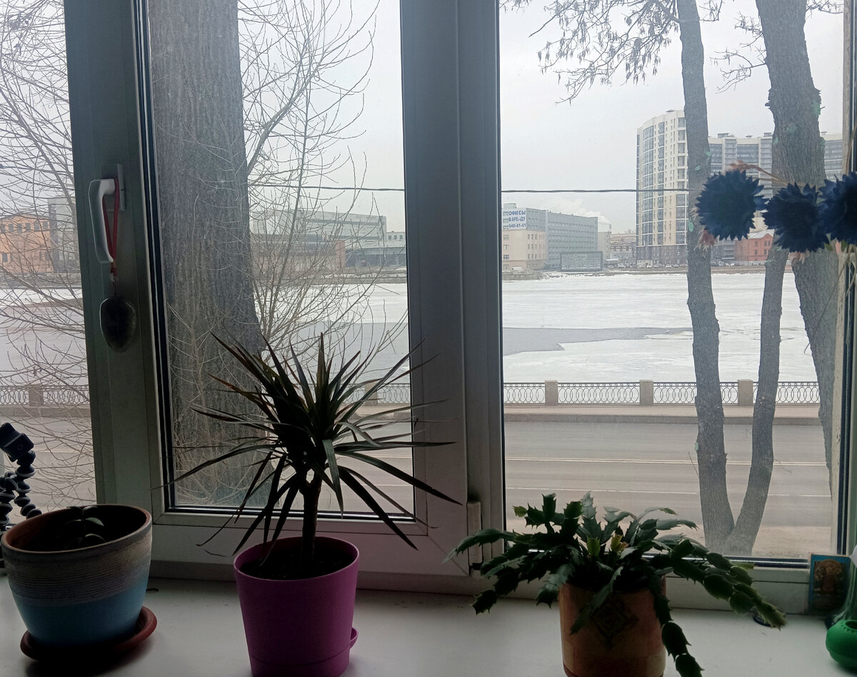 Все фото в статье авторские. 