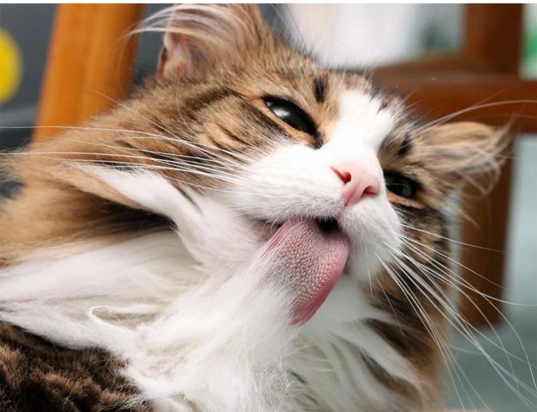 Фото из интернета