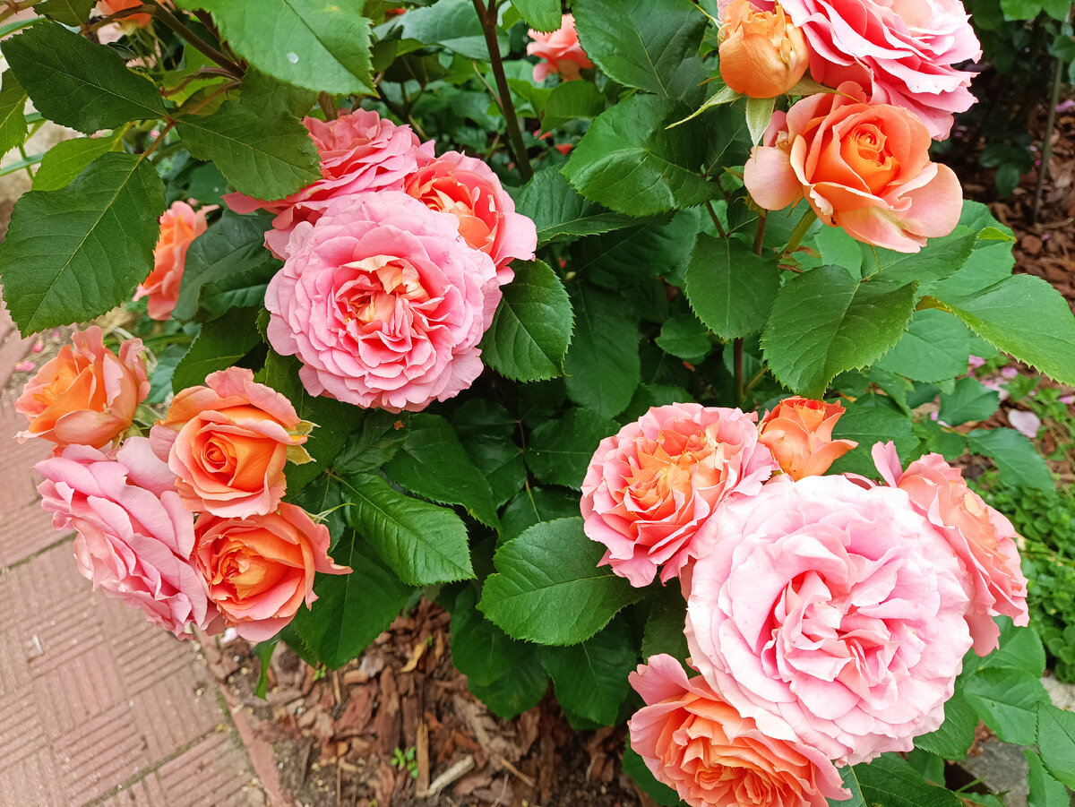 ВИВЬЕН ВЕСТВУД, 2023