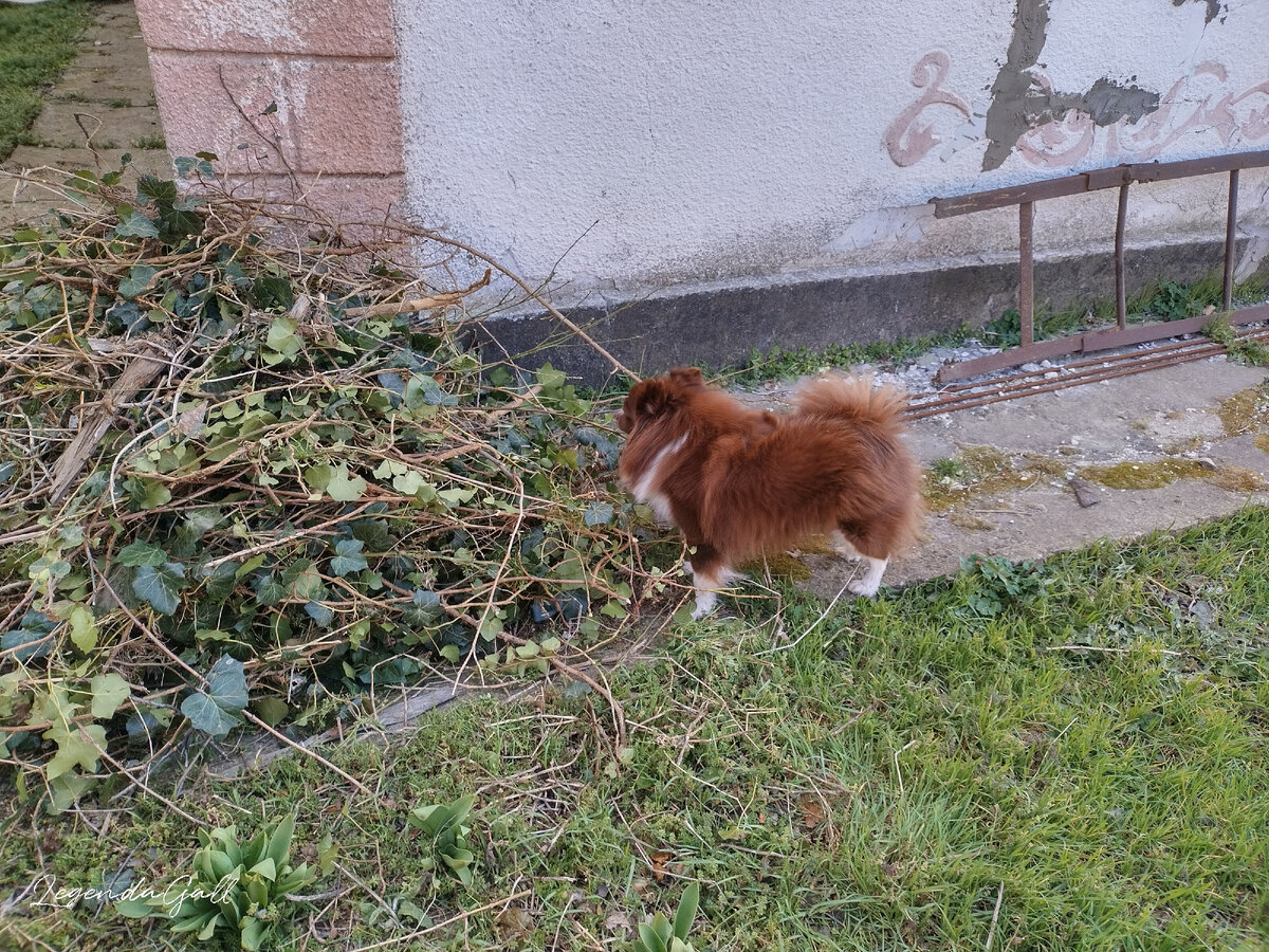 ладно мем. я тоже хочу кушать. смешная открытка пить вредно. натуралы приколы. мем я тожеп хочу шоуола.