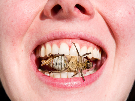 Из цитируемого источника