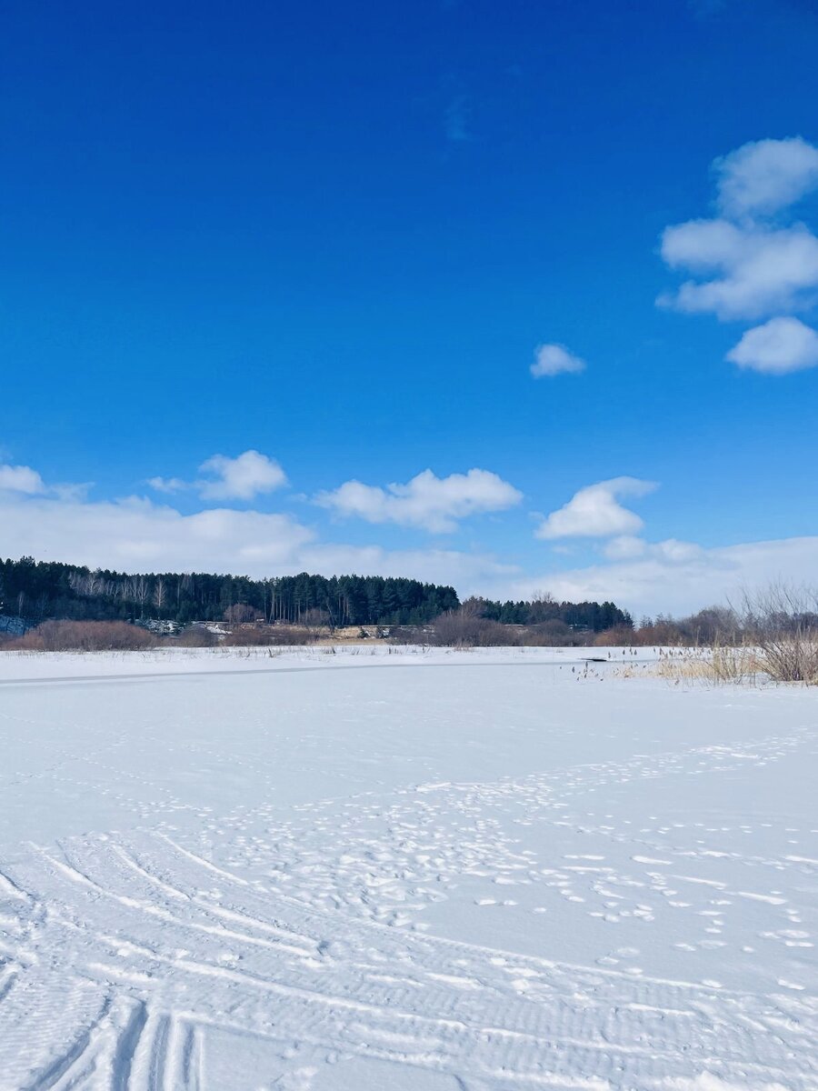 Фото из свободных источников.