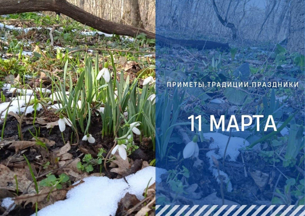   ГТРК "Ставрополье"