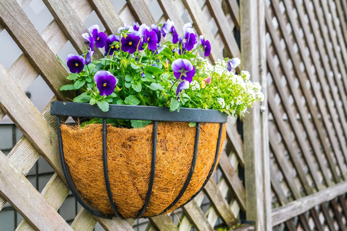 https://ru.freepik.com/free-photo/beautiful-little-flowers-on-wall_1017545.htm#fromView=search&page=1&position=45&uuid=fb504446-42a7-4fde-a1de-1adc7c38dfc9