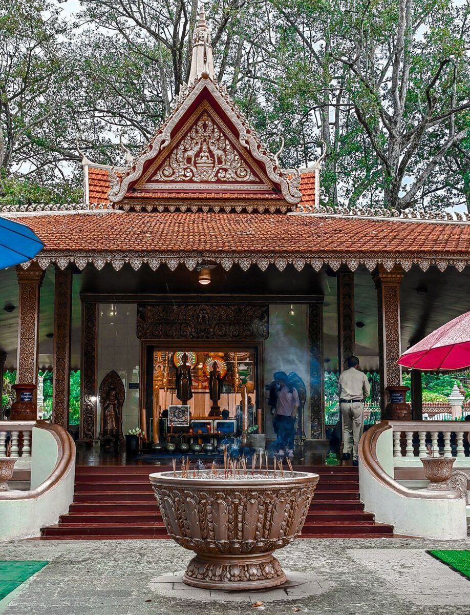 На территории Королевского парка, 2023 год