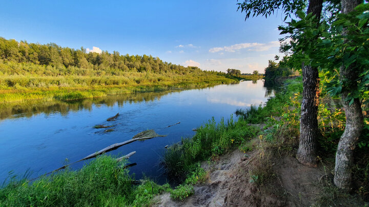 Река Урал в августе.