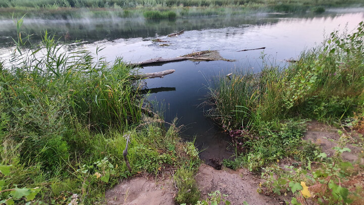 девушка читает книгу. стихотворение о реке. река весело катилась в горах утром. прочитайте а речка. читать реку.