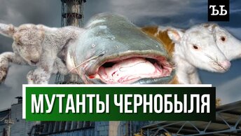 Мутанты Чернобыля: какие сверхспособности получили животные