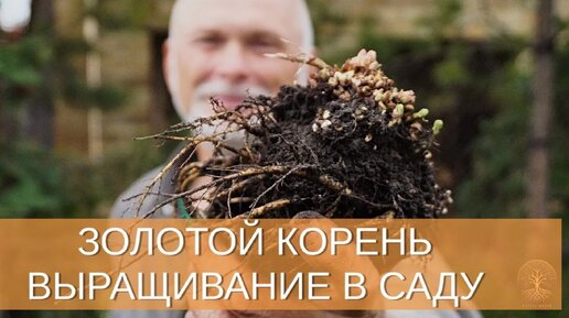 КОРЕНЬ ЖИЗНИ. Садоводство с Александром Сидельниковым