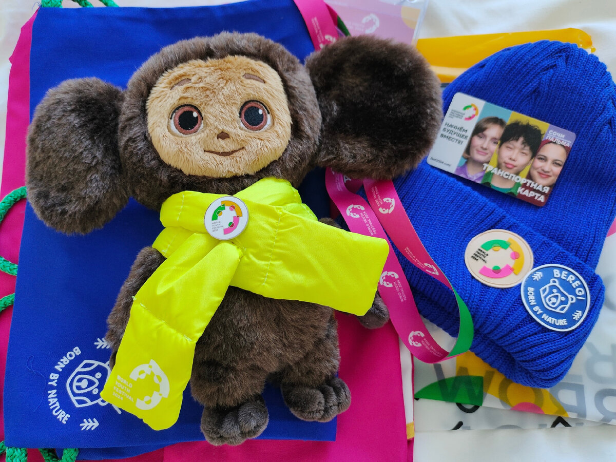 Комплект волонтерской формы ВФМ-2024 и Чебурашка