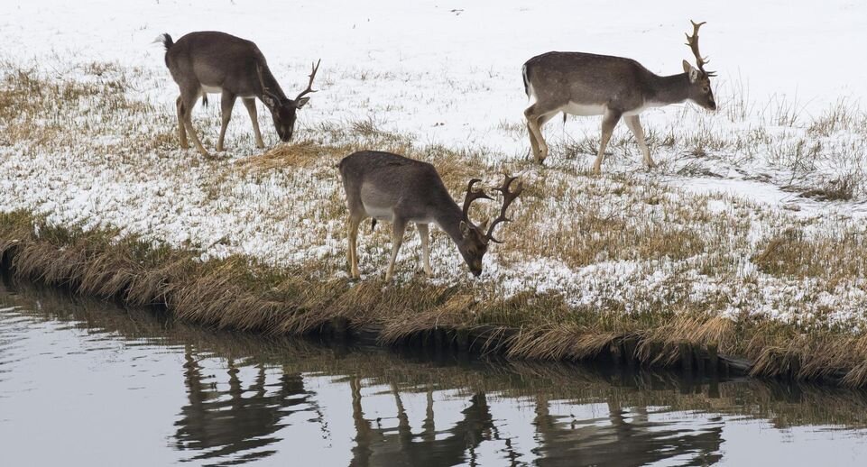    Erhard Nerger/http://imagebroker.com/#/search/globallookpress