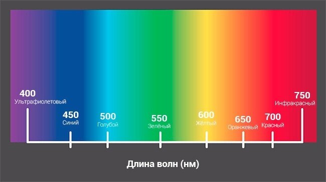 Добавьте описание
